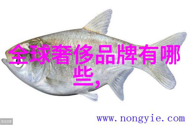 世界钻石排名前十名的璀璨之美探索非凡的宝石艺术