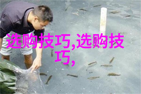 工艺品的多样面从手工艺到艺术品探索其包括的广泛范畴