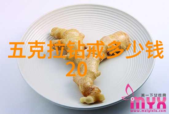 闪耀的秘密珠宝背后的未知艺术