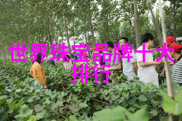 全球税收竞争战场如何看待当前世界上最高税收率和税收政策对排名影响