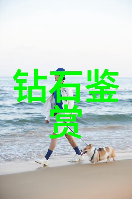 工程力学基础工程力学的基本原理和应用