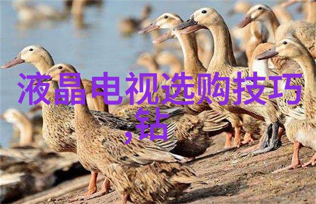 钻石常识-从矿床到戒指钻石的形成与鉴定