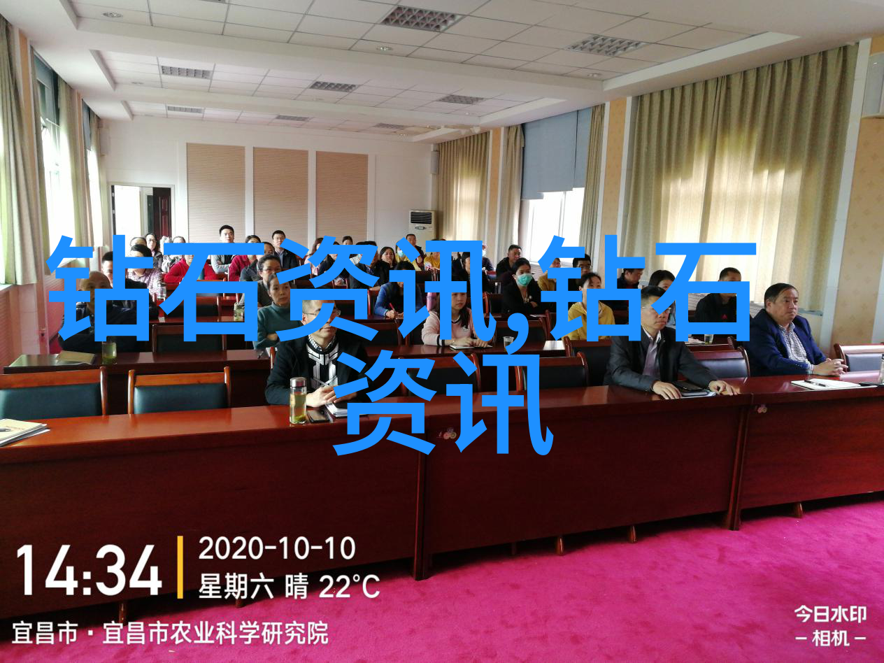 从羽翼未丰到翱翔高空丑小鸭成长与社会适应性研究
