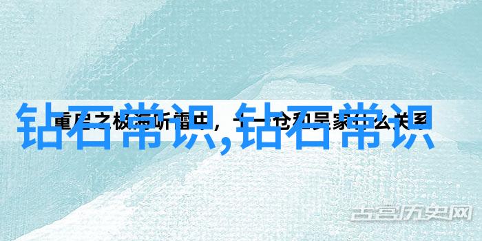别墅轮换2攻略如何高效地管理和维护多处别墅