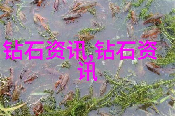 中国网文化发展中心我来告诉你网红们如何在这里炙热成金子