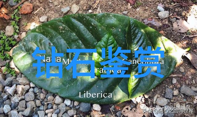 亨路达珠宝国外南红玛瑙摆件在社会中的保养技巧