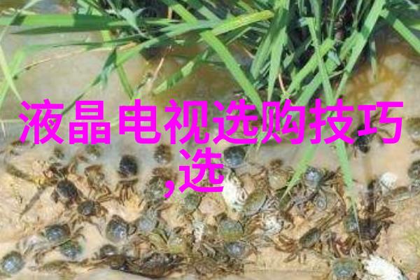 北京鉴定珠宝-北京最信誉良好的珠宝鉴定机构