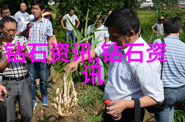 什么样的翡翠才是好的品种我眼中的好翡翠你该如何识别