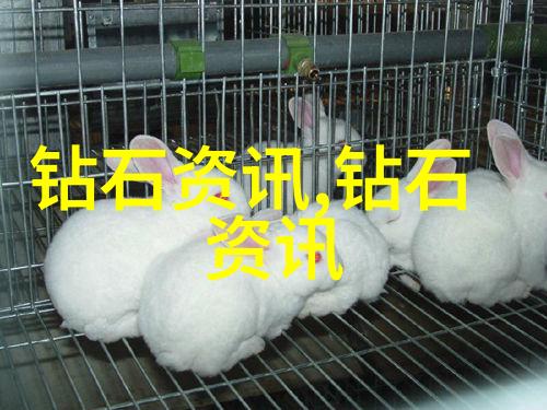 四月石是什么
