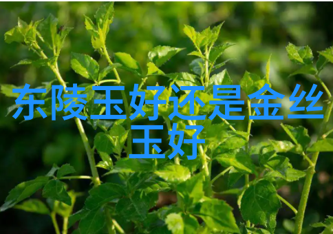 小镇上的魔法师一个关于隐藏天赋的温馨故事