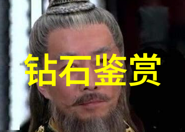 第一皇妃简介揭秘宫廷权谋与爱情纠葛