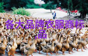 世界十大顶级宝石钻石红宝石蓝宝石绿宝石黄玉白金刚石大麻的钻戒
