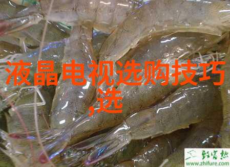 电影之匠幕后的指挥者