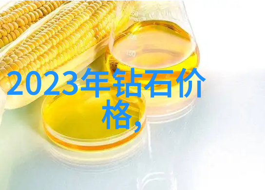 阳美在这片充满希望的土地上究竟隐藏着怎样的秘密