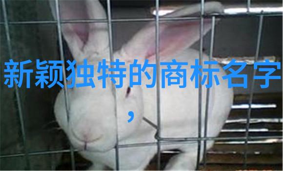 当代商贸中对于和田玉性质的一般认识是什么样的呢