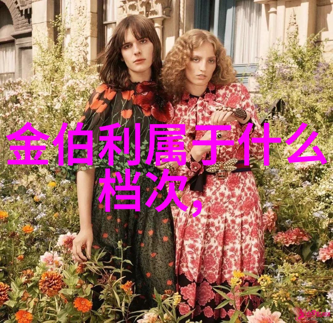 镜头前后的故事编织者电视剧集导演之旅