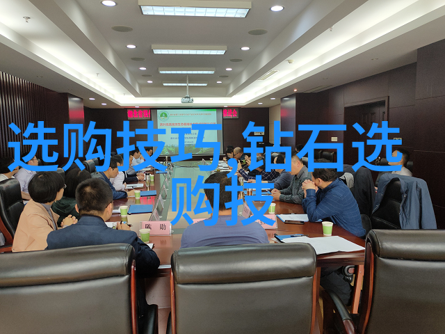 开拓国际视野对外汉语专业的语言与文化探索