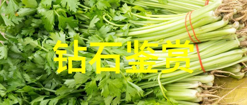 岁月的长歌