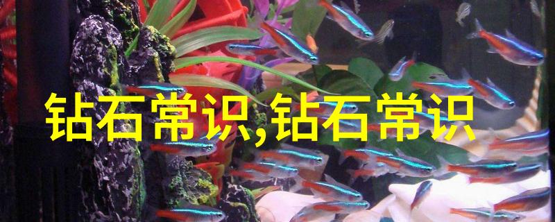 钻石的形成与分布钻石的硬度与光学特性钻石切割与设置技巧钻石鉴定标准及区分真伪方法历史上的钻石爱好者及