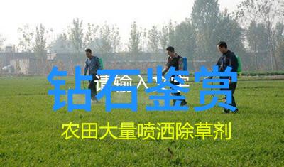 翡翠的种类与鉴定方法