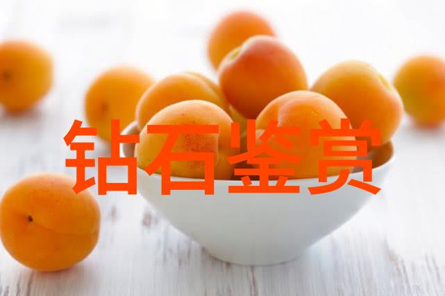 中国传统文化介绍50字-龙舞凤飞探秘中国五千年的文脉