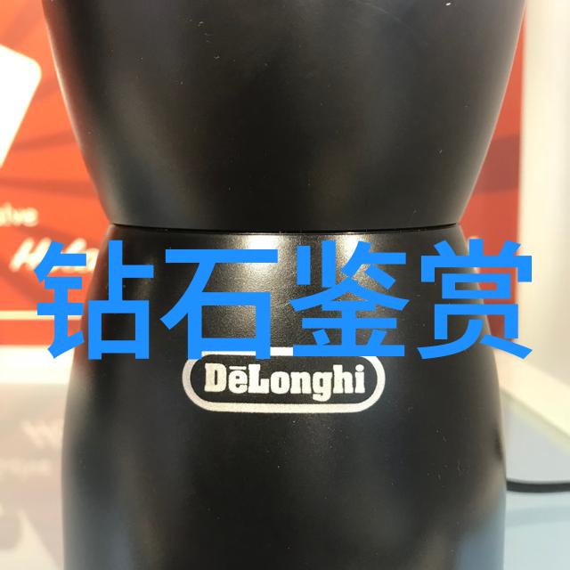 如何在日常生活中感受到阳美的力量