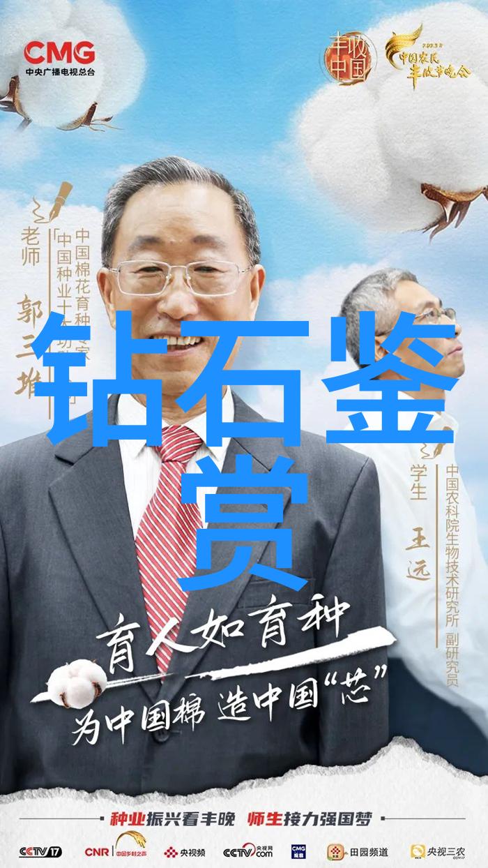 工程管理艺术建设梦想的桥梁