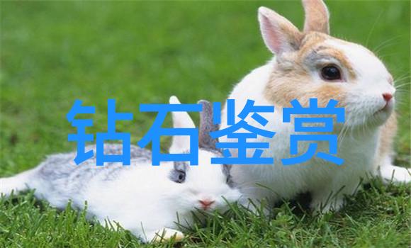 工业设计考研 我的工业设计考研之路从入门到飞跃