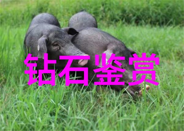 关于宝石-探秘璀璨世界解答您关于宝石的问题