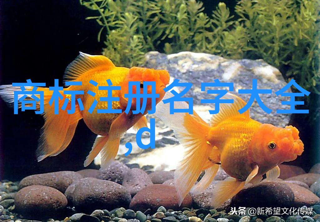 古典香薰的传说探索密斯凡德罗的精髓