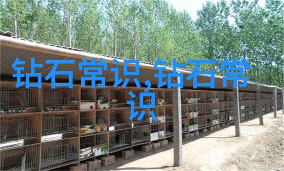 手工艺的多彩世界从织品到陶瓷探索传统与现代技艺