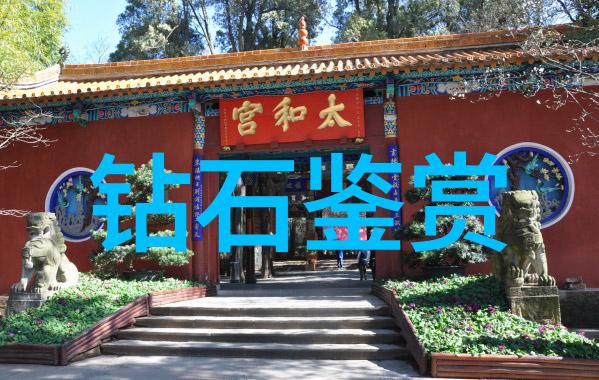 梦幻般的冬日浪漫深入了解叶麟林纹雪