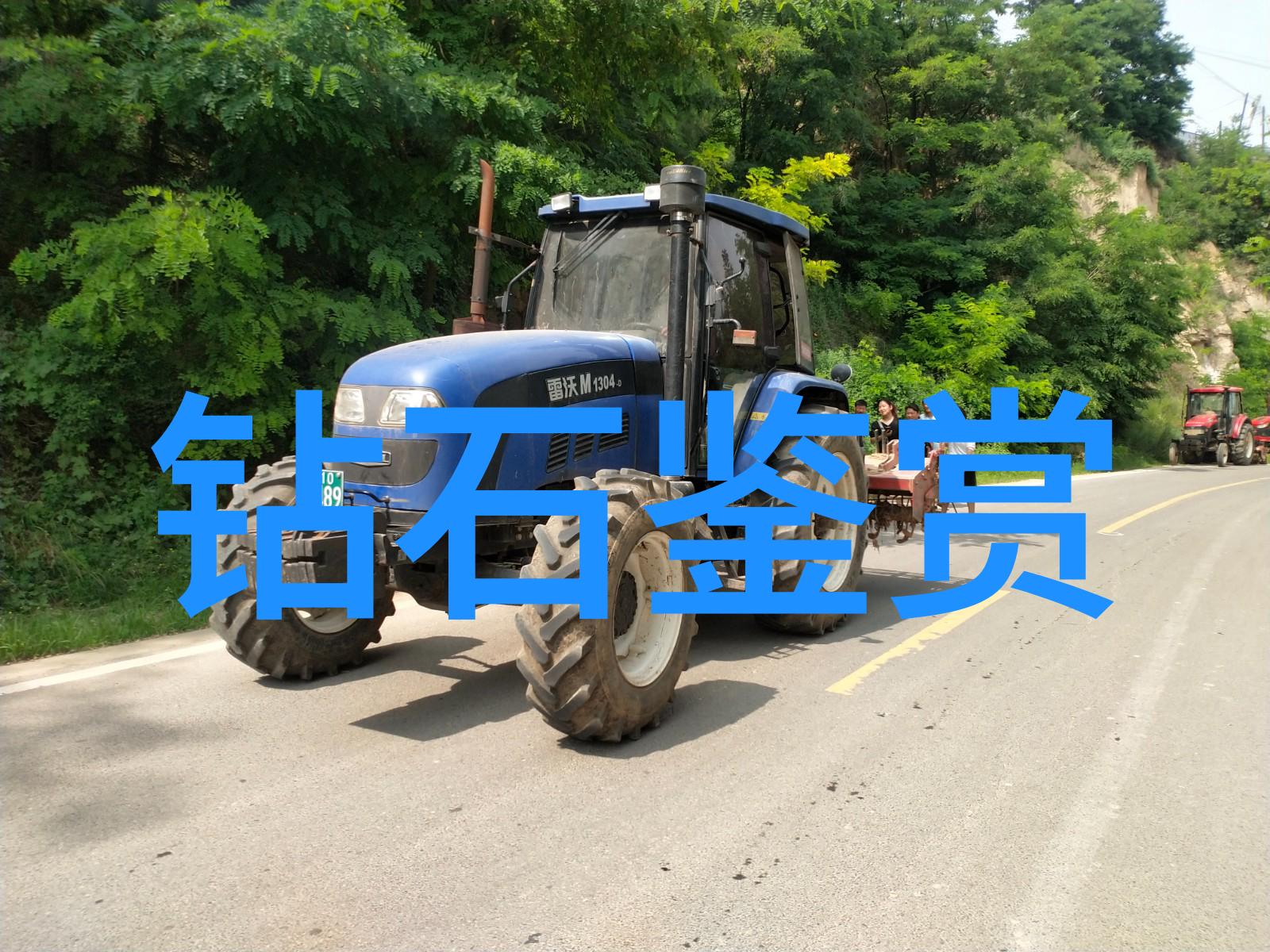 宝石之谜不学而知的智慧