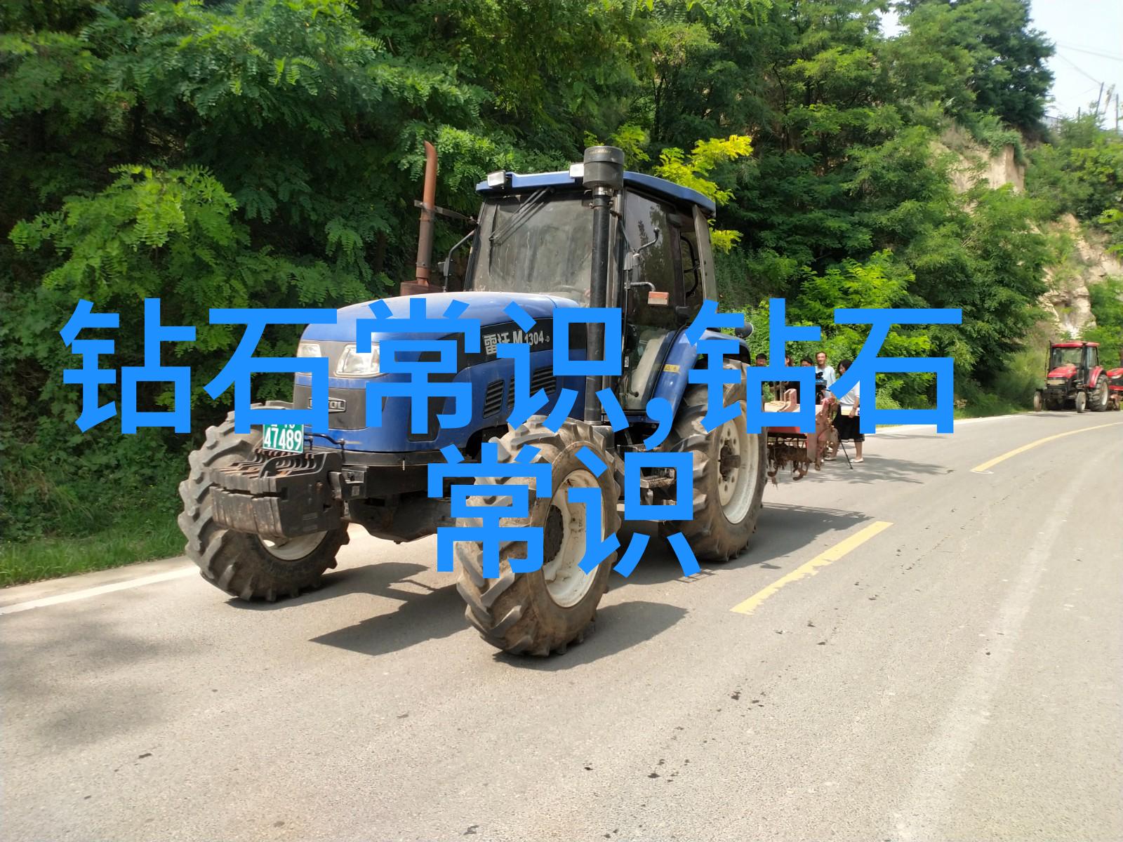 探索文化界限中西方差异解析与分享