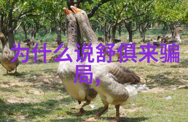 精准制造机加工报价计算软件的应用与优势