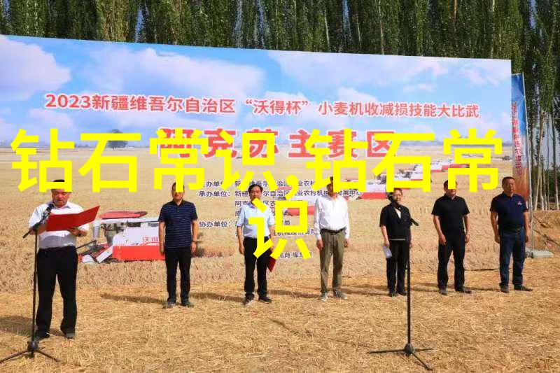 碧绘画卷重温那些以其独特颜色形状和手工艺而闻名遐迩成就了它们价值连城的地标性碧玉作品