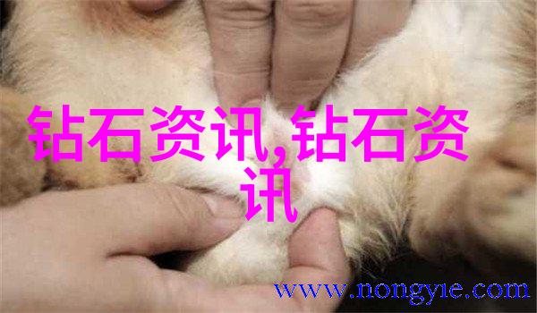 婚戒设计传统与现代婚戒的创意搭配