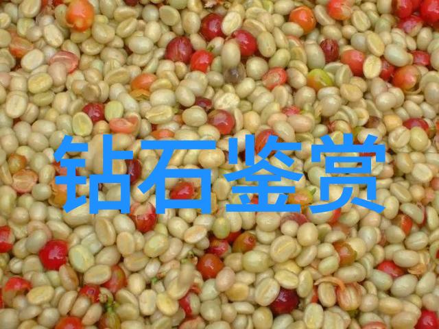 三只小猪建设安全屋智慧与勤劳的故事