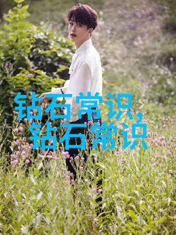中华传统文化素材探索中国古代艺术与智慧的宝库