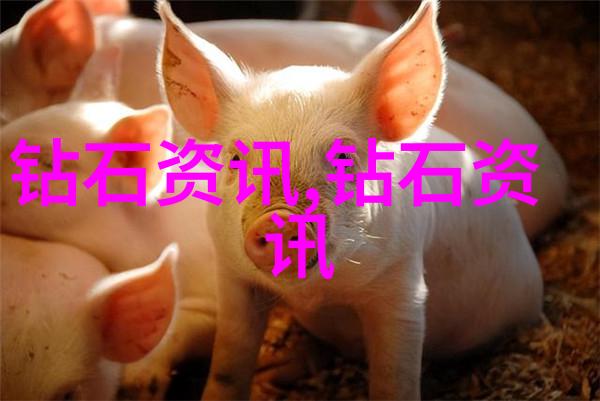 璀璨宝石解析其迷人之谜