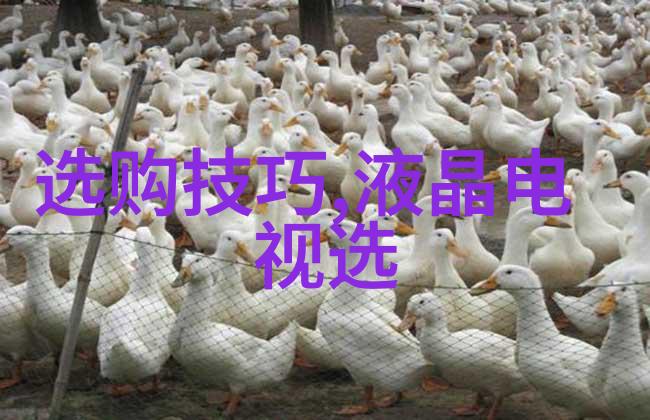 从零到英雄工艺制作的奇幻冒险