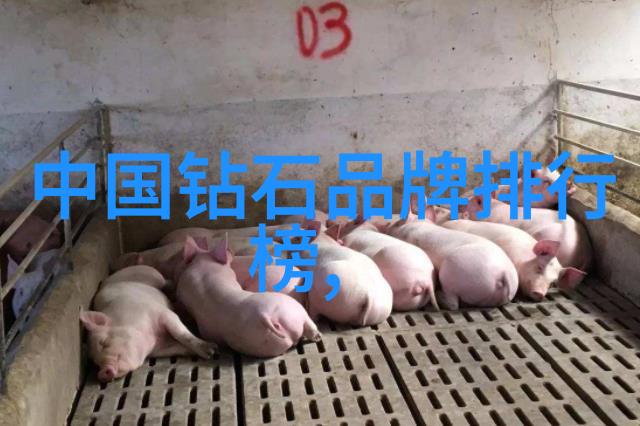 家和万事兴父母儿女一家大联欢的温馨回忆