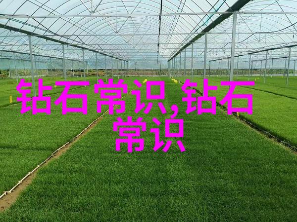 探秘珠宝世界揭秘不同类型的钻石