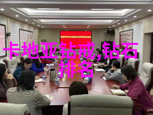 宠妃沾衣宫廷恩怨中的柔情与疏离