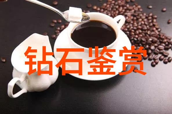 前行者与后盾力量的双重奏鸣