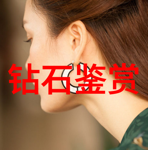 失落的红楼探秘乾隆皇后私藏之书