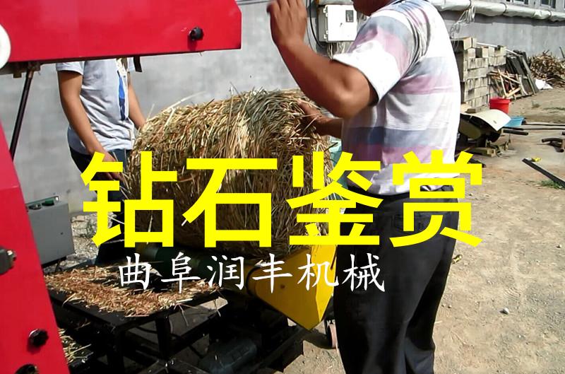 让珠宝闪耀更亮了解与欣赏国检标志下的翡翠艺术品图片