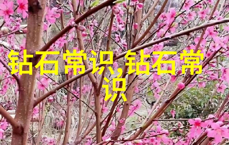 璀璨宝石亿万财富的守护者