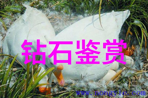 铸造工艺流程图完整版揭秘金属材料从原料到成品的精细旅程