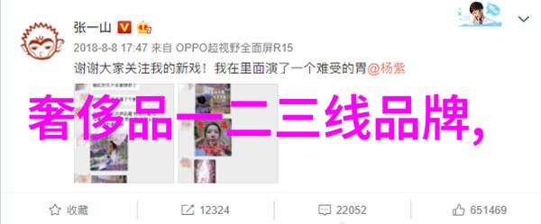 世界上最珍贵的钻石Carat无敌之冠